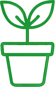 Container Plants