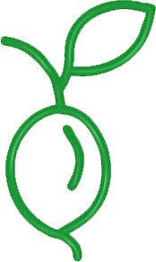 Seed Propagation